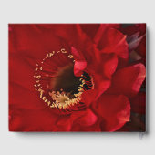 Firelight cactus flower gastenboek (Achterkant)