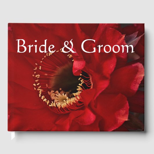 Firelight cactus flower gastenboek (Voorkant)