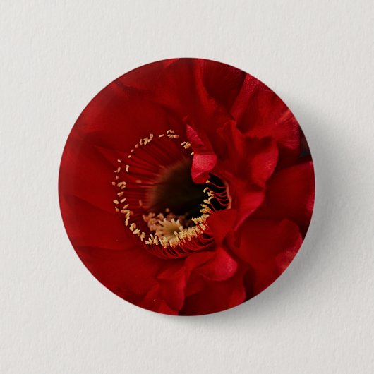 Firelight cactus flower ronde button 5,7 cm (Voorkant)