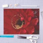 Firelight Cactus flower Tissuepapier (Craft)