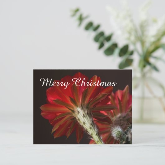 Firelight Cactus, overal, vrolijk kerstfeest Feestdagenkaart (Staand voorkant)