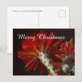 Firelight Cactus, overal, vrolijk kerstfeest Feestdagenkaart (Voorkant / Achterkant)