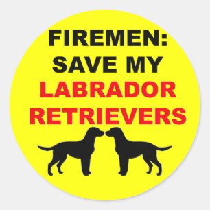 Fireman Save My Labrador Retrievers Ronde Sticker