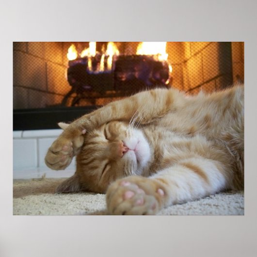 Fireplace Cat Poster (Voorkant)