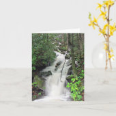 Fires Creek Kaart (Gele Bloem)