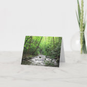 Fires Creek Kaart (Voorkant)