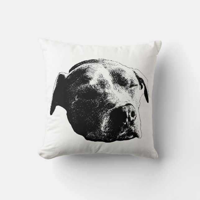 Fireside Daydream Kussen (Voorkant)