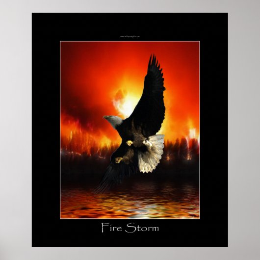 FIRESTORM Bald Eagle Art Poster (Voorkant)