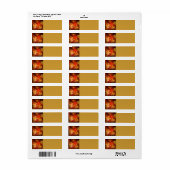 Firestorm Nova Abstracte Art Etiket (Full Sheet)