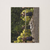 Firewalkers, Polynesiaans Cultureel Centrum, Viti Legpuzzel (Verticaal)