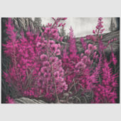 Fireweed 7 tissuepapier (Voorkant)