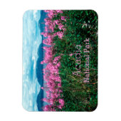 Fireweed Blossom, Baker Island, Acadia NP Magneet (Verticaal)