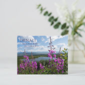 Fireweed Blossoms, Wonder Lake Denali NP, Alaska Briefkaart (Staand voorkant)