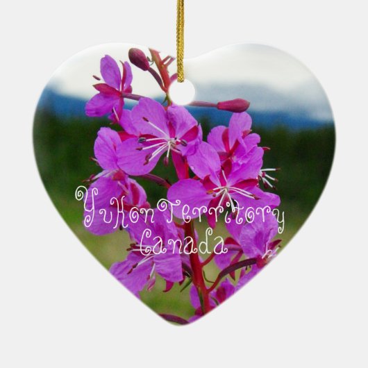Fireweed Close-up; Yukon Territory, Canada Keramisch Ornament (Achterkant)