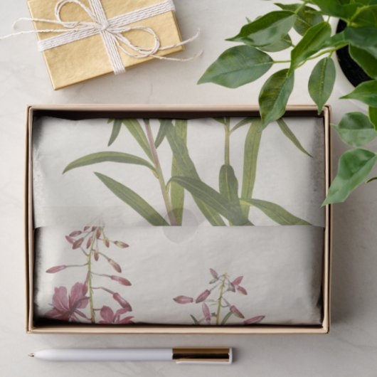 Fireweed door Mary Vaux Walcott Tissuepapier (Geschenk)