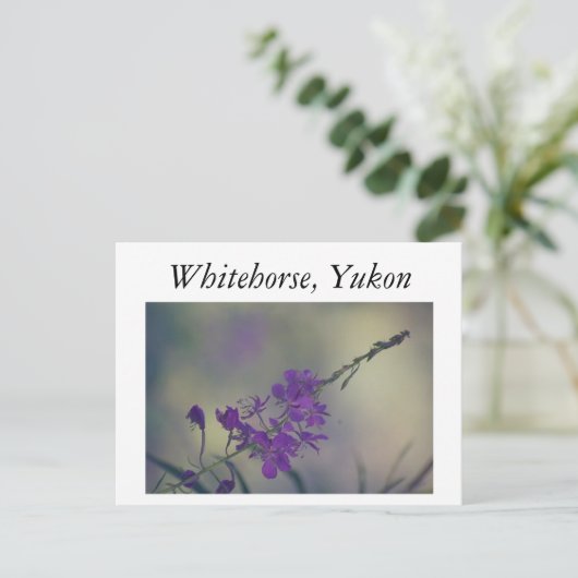 Fireweed, Fox Lake, Whitehorse, Yukon Briefkaart (Staand voorkant)