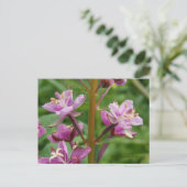 Fireweed Variegated Blosbezems, Unalaska Island Briefkaart (Staand voorkant)