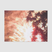 Fireworks 12 tissuepapier (Voorkant)