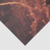 Fireworks 20 tissuepapier (Detail)