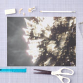 Fireworks 2 tissuepapier (Craft)