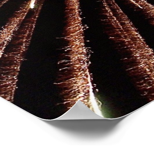 Fireworks-afdrukken Poster (Hoek)
