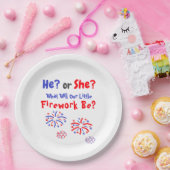 Fireworks American Gender onthulling Papieren Bordje (Feest)