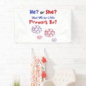 Fireworks American Gender onthulling Spandoek (Insitu)