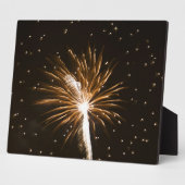 Fireworks-display op de Savannah-rivier Fotoplaat (Zijkant)