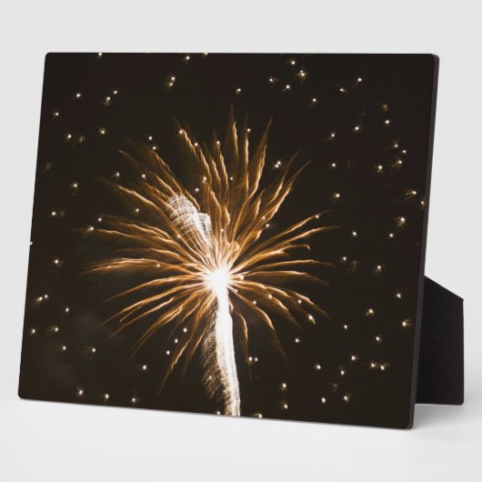 Fireworks-display op de Savannah-rivier Fotoplaat (Zijkant)