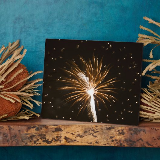 Fireworks-display op de Savannah-rivier Fotoplaat (Zijkant)