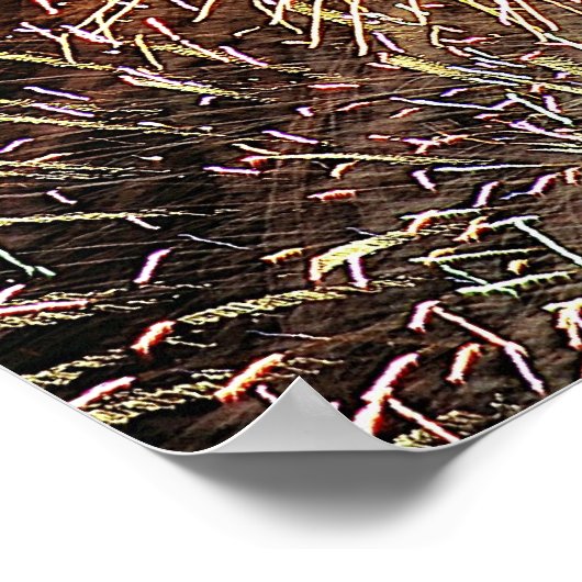 Fireworks Display Poster (Hoek)