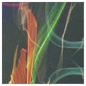 Fireworks Folk Art bloeien Stof (Close Up)