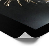 Fireworks-foto Poster (Hoek)