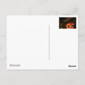 Fireworks Lissabon Briefkaart (Achterkant)