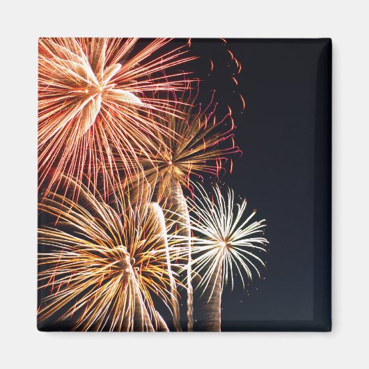 Fireworks P0541 Magnet (Voorkant)