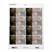 Fireworks-weergave Etiket (Full Sheet)
