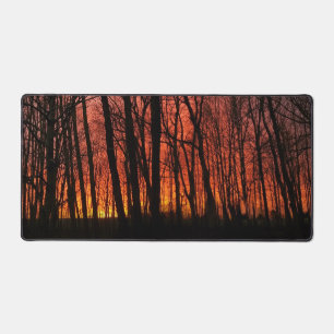 Firey Sunset Forest Bureaumat