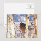 First Bird Briefkaart (Voorkant / Achterkant)