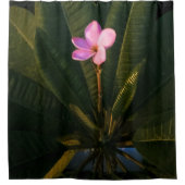 First Bloom, Plumeria Douchegordijn (Voorkant)