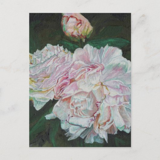 First Blooms 2012 Briefkaart (Voorkant)