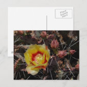 First Blossom Briefkaart (Voorkant / Achterkant)