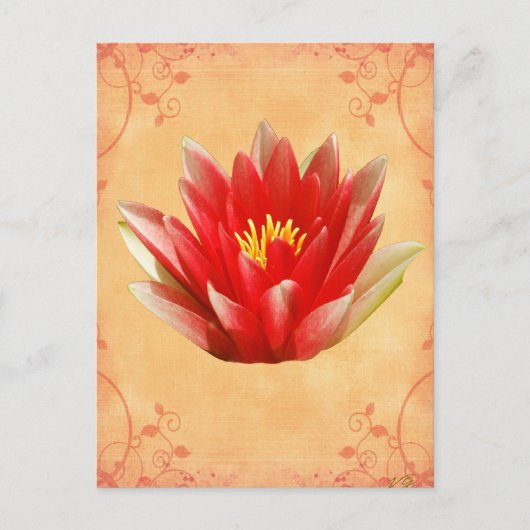 First Chakra Gift Briefkaart (Voorkant)