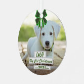 First Christmas ornament with my pet (Voorkant links)