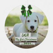 First Christmas ornament with my pet (Voorkant)