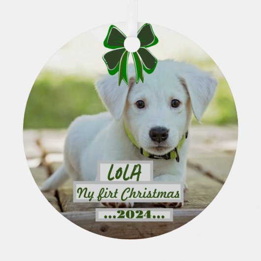 First Christmas ornament with my pet (Voorkant)