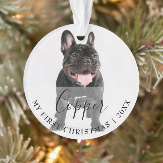 First Christmas Pet 2 Photo Script Name Ornament (Boom)