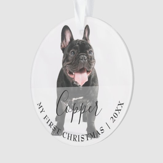 First Christmas Pet 2 Photo Script Name Ornament (voorkant)