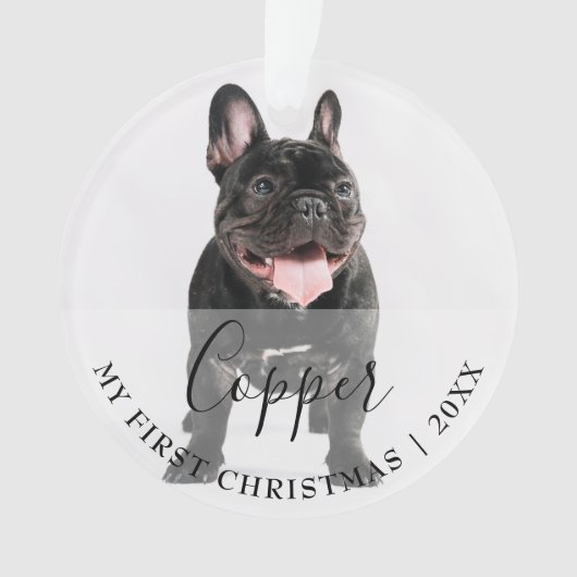 First Christmas Pet 2 Photo Script Name Ornament (voorkant)