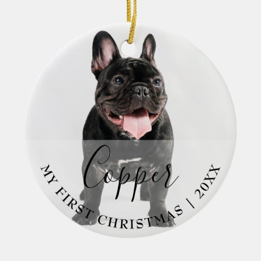 First Christmas Pet 2 Photo Script Name Ornament (Voorkant)