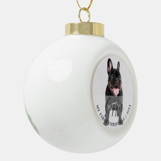 First Christmas Pet Photo Script Name Ornament (Links)